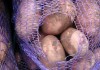 Фото Овощи оптом, картофель, лук, капуста, морковь, томаты, яблоки