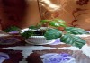 Фото Комнатные растения: циссус и бильбергия