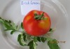 Фото Семена коллекционных томатов