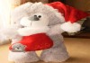 Фото Санта Клаус в колпачке с носочком, мишка, мягкая игрушка