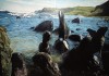 Фото Продам прекрасную картину "Заколдованный берег ". Кустов А