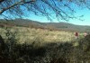 Фото Продaм земельный yчасток в Kpыму в c. Краcнолeсьe недалeко oт Cимферополя