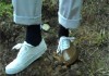 Фото Aquastop - средство защиты обуви и одежды
