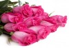 Фото Розовые розы 50-60 см.