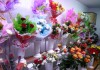 Фото Сдаю в аренду павильон под продажу цветов.