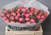 Тюльпаны оптом Хабаровск – прямая поставка из Голландии