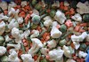 Фото МосХлад - замороженные ягоды и фрукты оптом!
