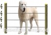 Фото Комплект OLLI для Собак 500м