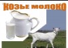 Фото Домашнее козье молоко