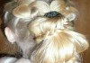 Фото Плетение кос на дому