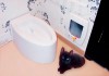 Фото Автоматический туалет для кошек