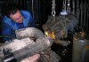 Сервис ремонт винтовых компрессоров
