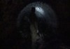 Фото Учаток у речушки, в тихом и уютном уголке, подвал, колодец.