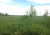 Фото Домик в деревне