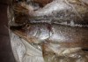 Фото Щука свежемороженая. Рыба
