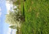 Фото Сдаётся дом-дача