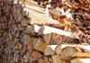 Фото Куплю дрова березовые в любом виде