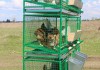 Фото Клетки для птицы и кроликов. Мини - фермы