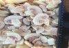Фото Замороженные грибы, ягоды, фрукты и овощи оптом