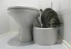 Фото Автоматический кошачий туалет PetWC