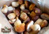 Фото «Кедро-Гранд» - оптовая продажа грибов, ягод, кедровой продукции, меда и трав.