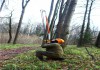 Фото Спил деревьев, очистка участка, покос травы в Орехово-Зуево