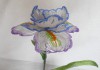 Фото Цветок ириса из чешского бисера.