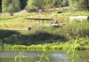 Фото Продаю 11 соток на озере в д.Барыбино Серпуховского р-на, 100 км от МКАД по Симферопольке