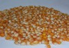 Фото Экструдированная кукуруза, ячмень, пшеница от производителя опт.Переработаю ваше зерно любое.Балашов