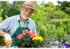 Фото Ваш сад нуждается в помощи садовник поможет вам Талантливый художник нарисует все что вам нужно: П