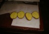 Фото Продается картофель оптом 5+ 6+, фермерское хоз-во напрямую от произ