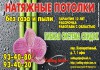 Фото Натяжные потолки