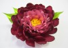 Фото Курс рукоделия. Создание цветов из атласных лент.