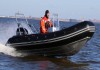 Купить лодку (катер) Trident Piton 450