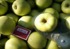 Фото Продается плодоносящий яблоневый сад в Крыму 4,8 Га (есть свидетельство, документы готовы)