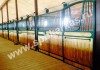 Фото Стойловое оборудование, денники для лошадей, бочки для тренинга