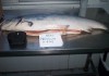Фото Рыба и морепродукты оптом в кратчайшие сроки!