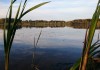 Фото 7 соток на берегу озера, Можайский р-н.