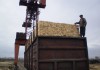 Фото Октябрьский деревообрабатывающий комбинат(ОДК) предлагает круглогодичные стабильные поставки пилома
