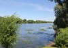 Фото Продаю земельный участок в дачном поселке 8 соток.