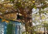 Фото Обмен дом в краснодарском крае с земельным участком на дом с зем уч