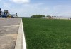 Фото Купить газон по оптовой цене в Москве