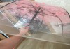 Фото Новый зонт-трость прозрачный с розовыми цветами Сакуры