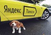 Фото Требуются водители Яндекс.Такси