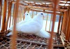 Фото Выпуск свадебных голубей, фотосессии с голубями