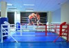 Фото Ринги боксерские напольные от производителя под заказ за две недели