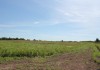 Фото Срочно продам участок 10 соток в новом поселке, расположенный в живописном месте Раменского района