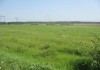 Фото Продам земельный участок пром. назначения площадью 245 сот. Раменский район