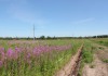 Фото Хит продаж! Продам участок 10 соток в новом поселке застраивающийся в Раменском районе