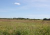 Фото Продаю участок 8 соток в охраняемом поселке. Всего 48 км от МКАД по скоростному Новорязанскому шоссе